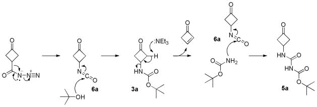 Scheme 3