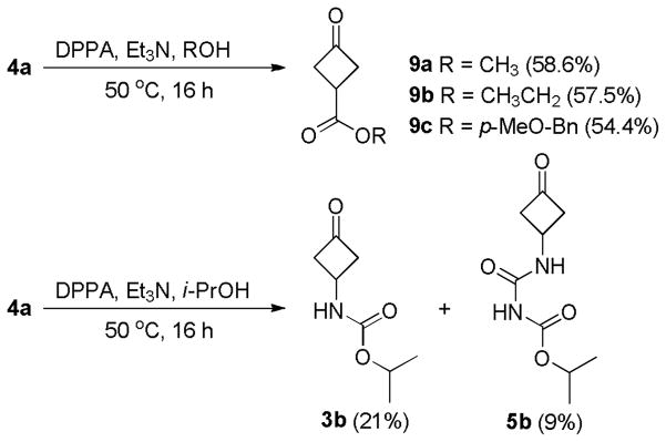 Scheme 5