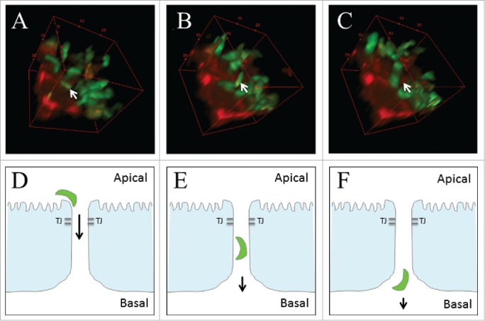 Figure 3.