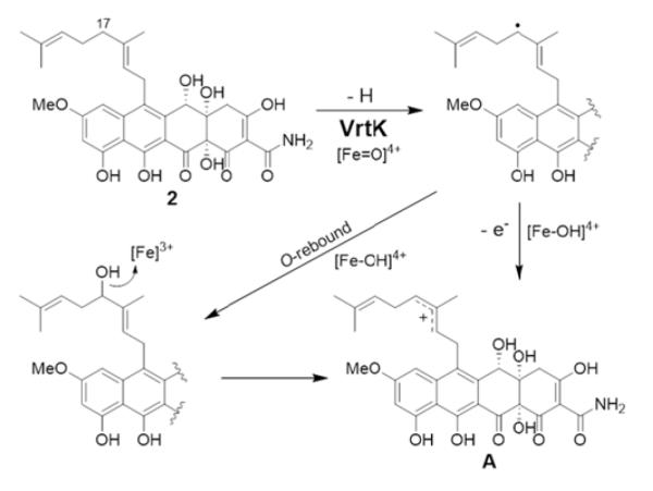 Scheme 2