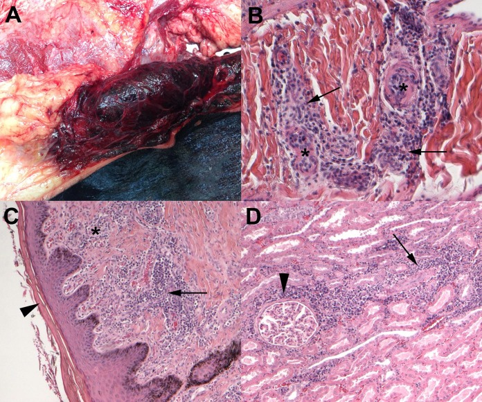 FIG 2