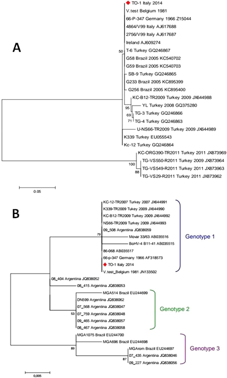 FIG 3