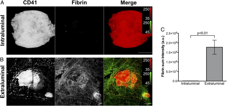 Fig. 4.