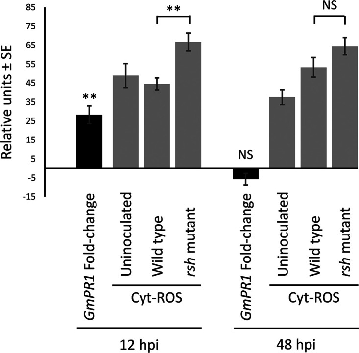 FIG 3