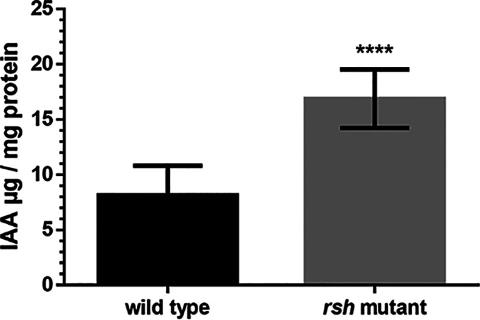 FIG 5