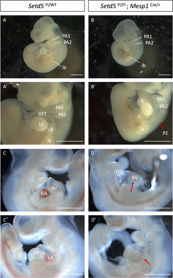 FIGURE 3