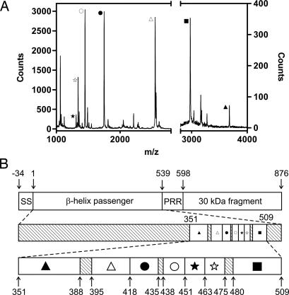 Fig. 5.