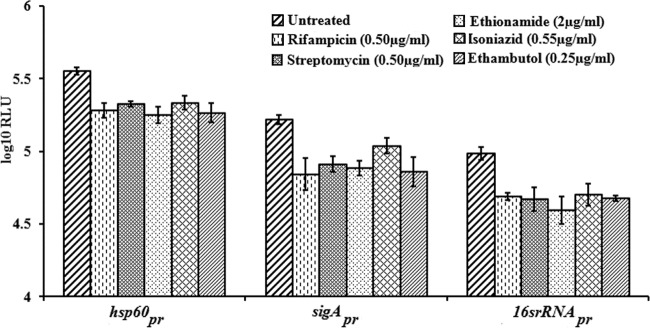 FIG 2