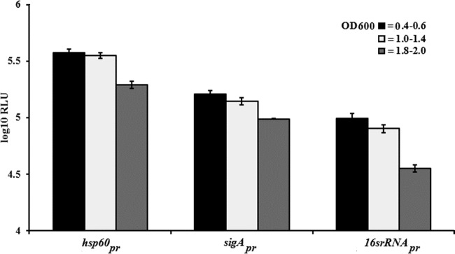 FIG 1