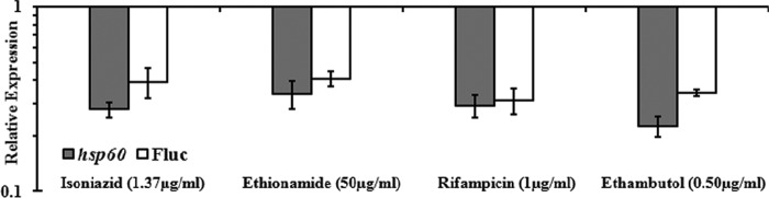 FIG 3