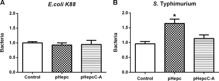 FIG 2