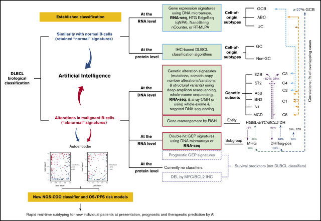 graphic file with name advancesADV2020001949absf1.jpg