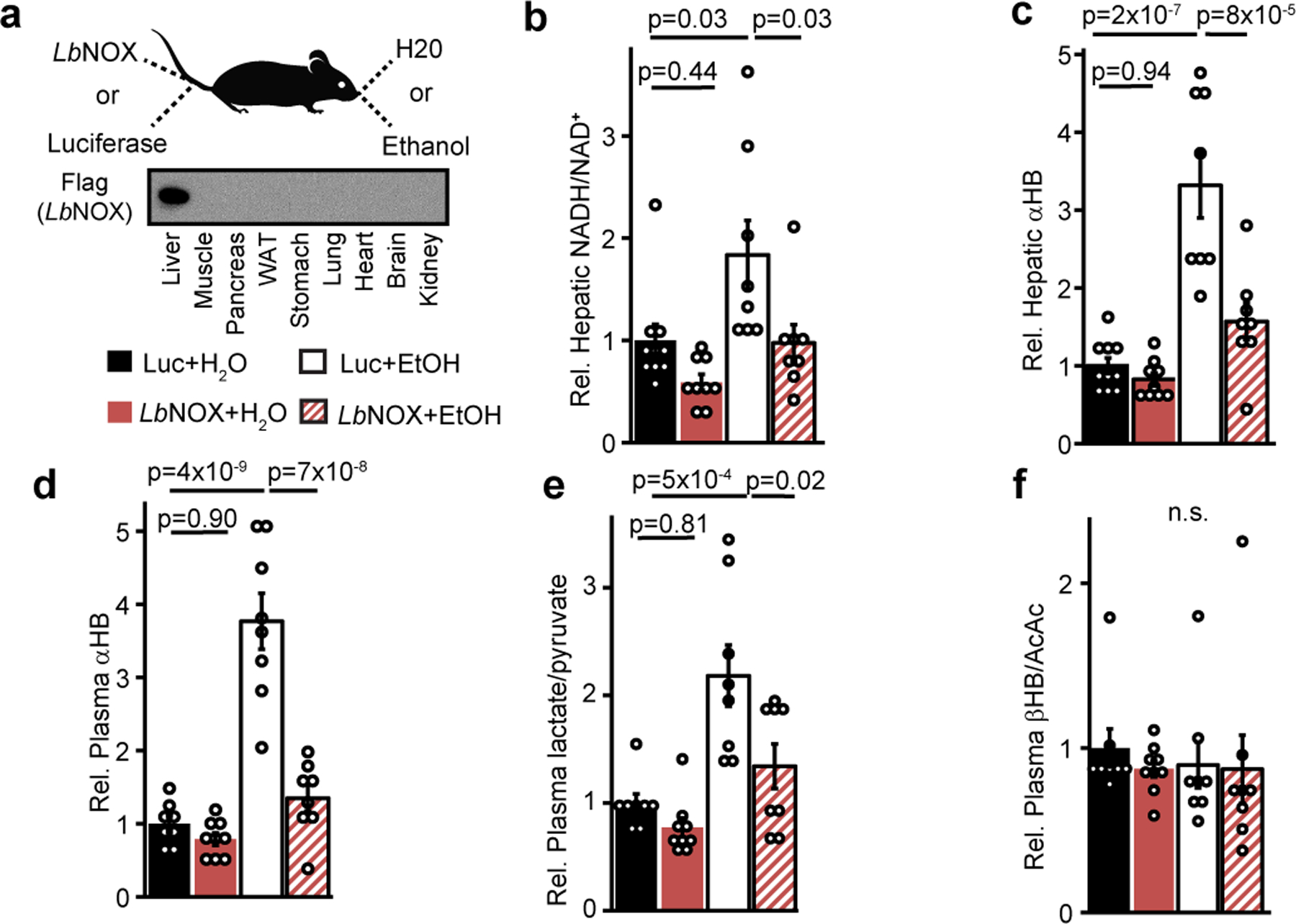 Figure 2 -