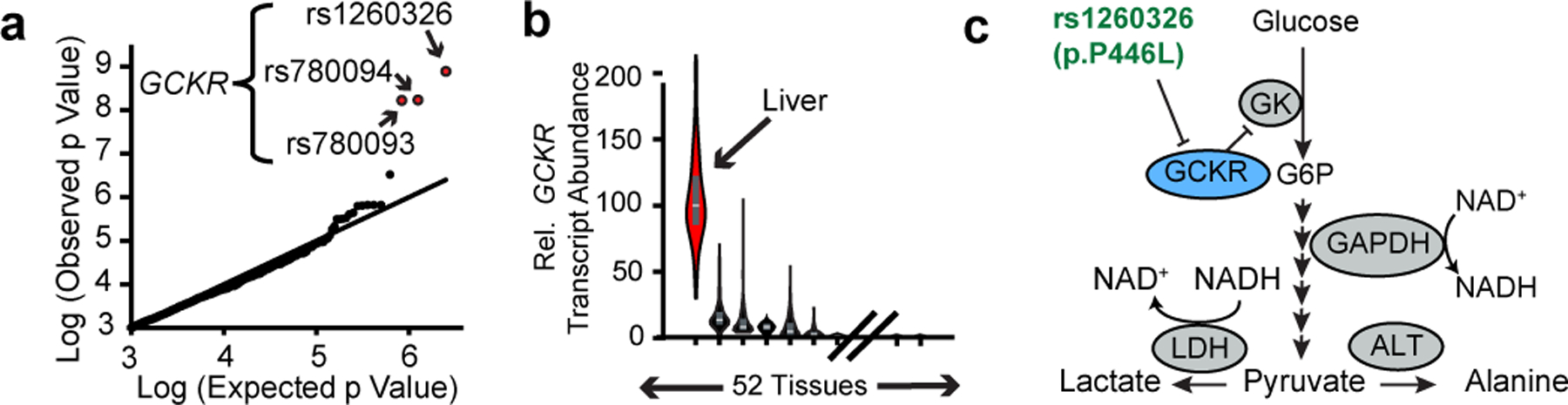 Figure 3 -