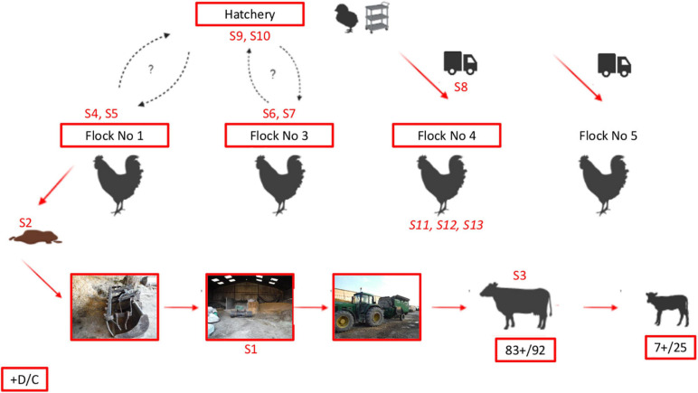 FIGURE 3