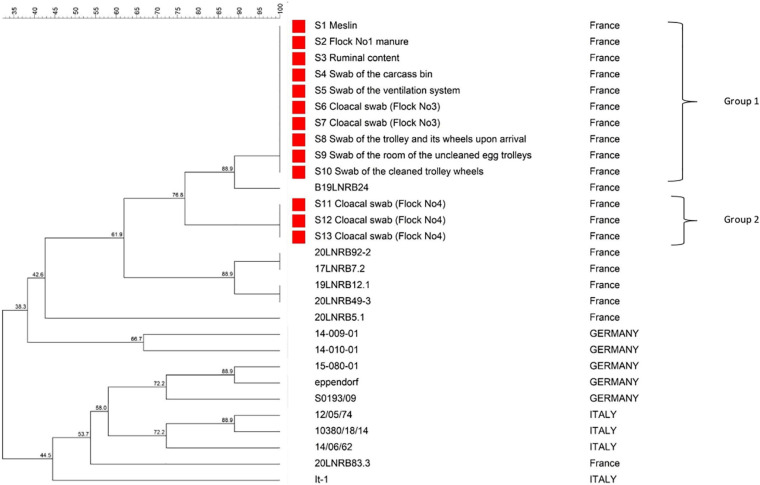 FIGURE 2