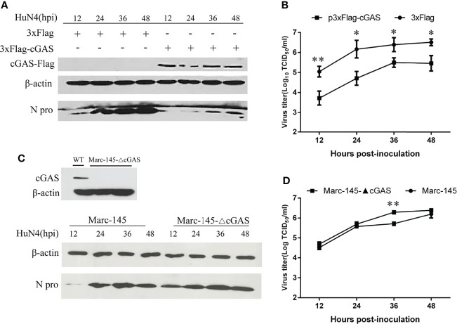 Figure 2