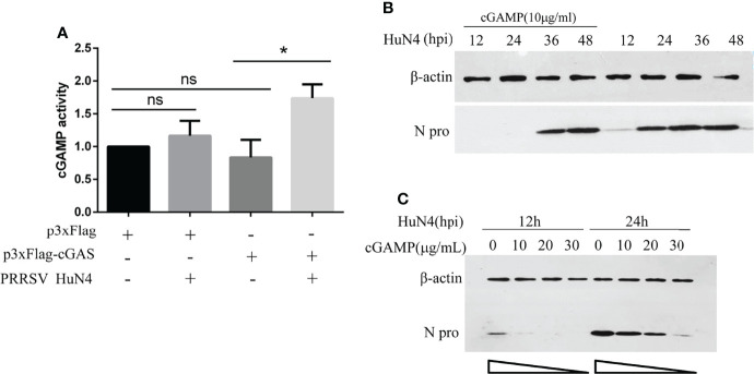 Figure 6