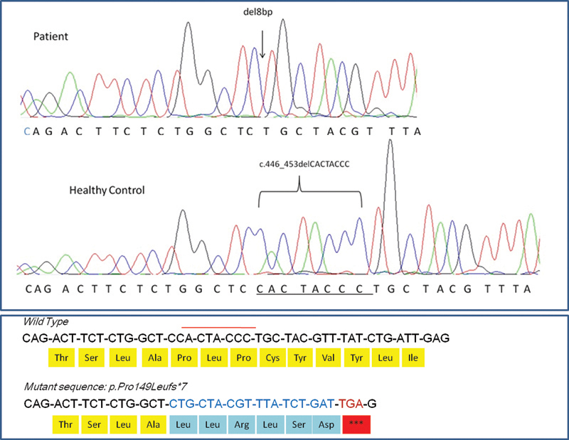 Fig. 3