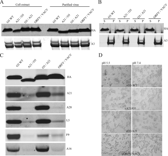 Fig 9