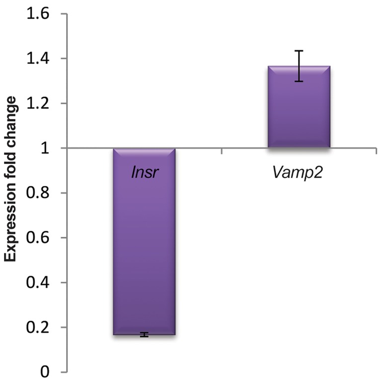 Fig.3