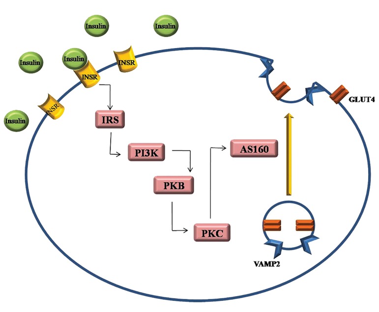 Fig.1