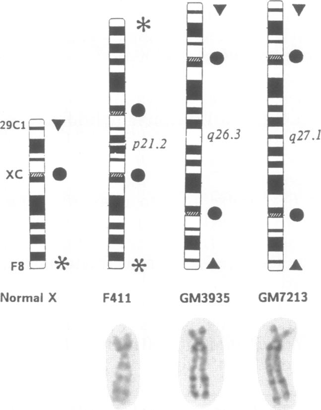 graphic file with name pnas01064-0263-a.jpg