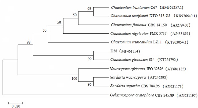 FIGURE 2