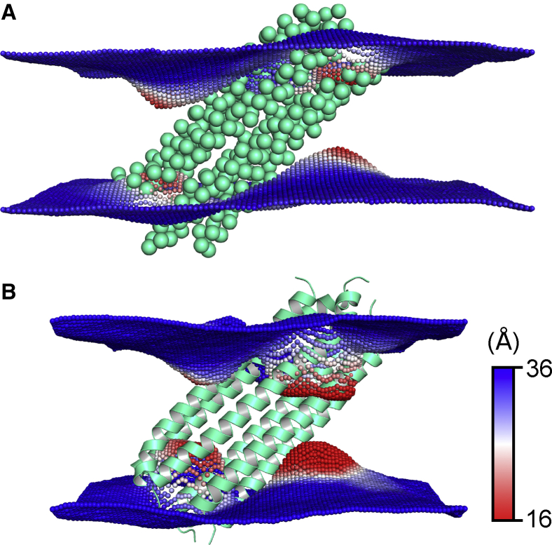 Figure 6