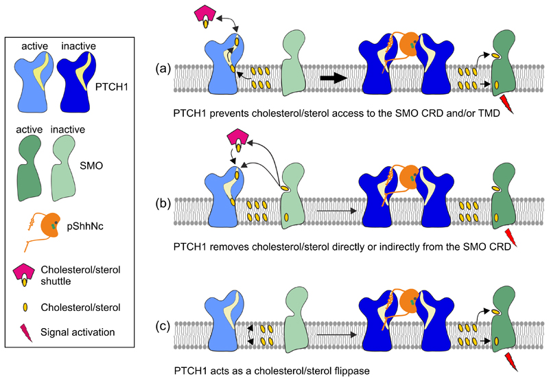 Figure 4