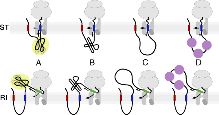 Fig. 6.