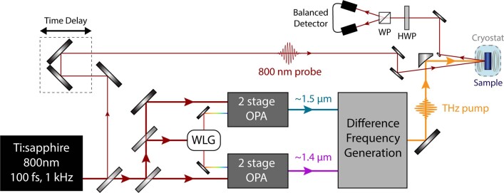 Extended Data Fig. 1