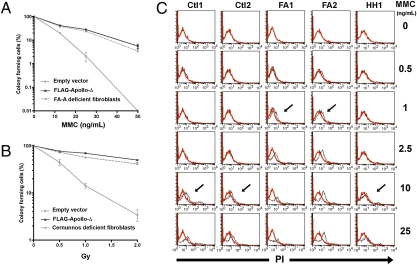 Fig. 7.