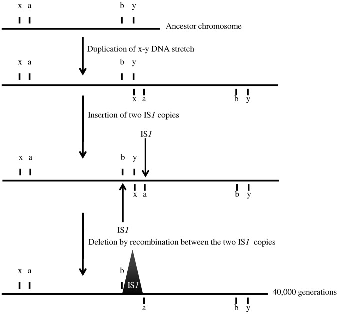 FIG 3 