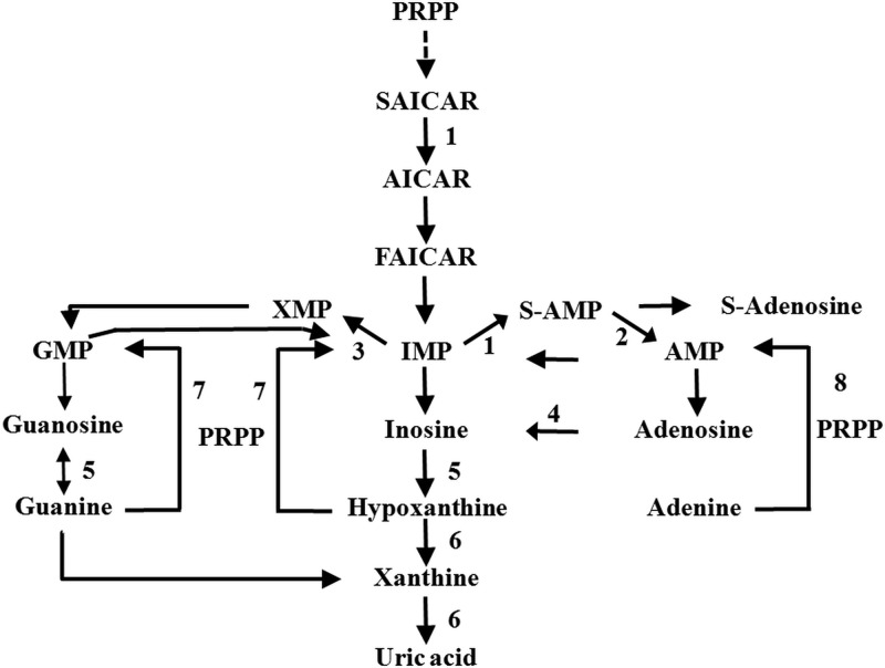 Figure 3.