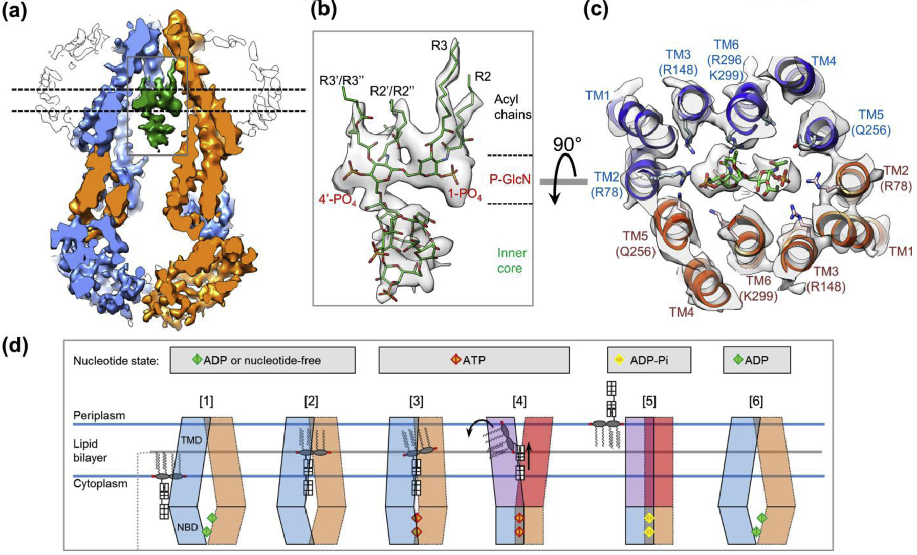 Figure 2 |