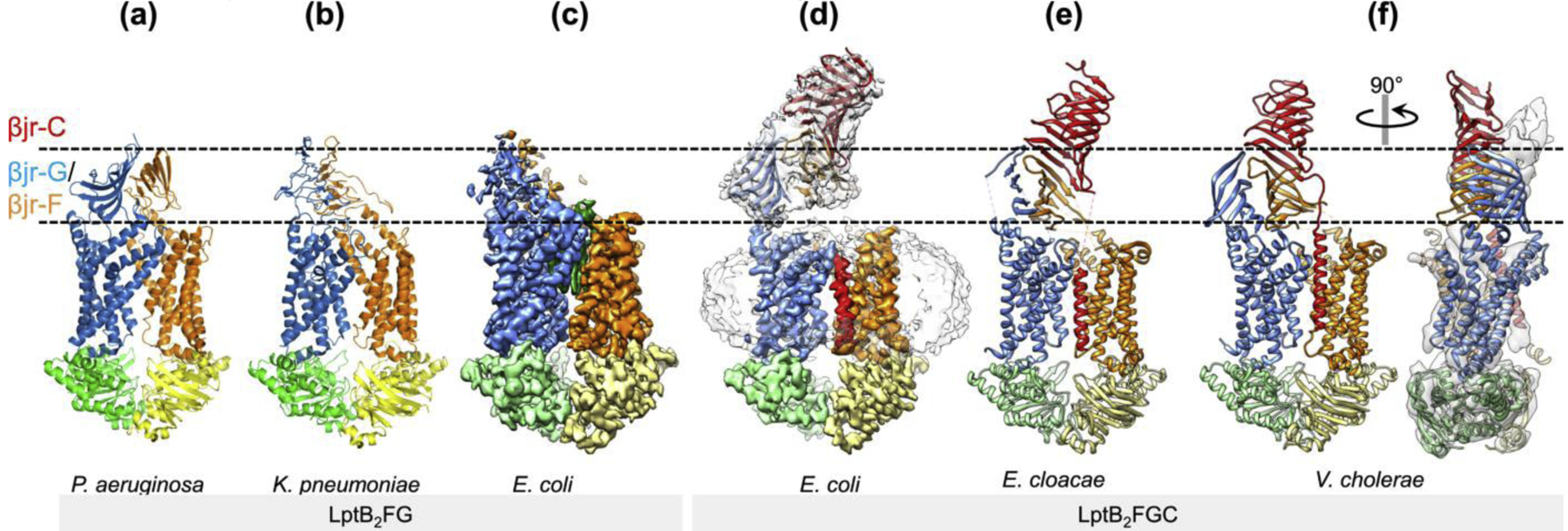 Figure 4 |