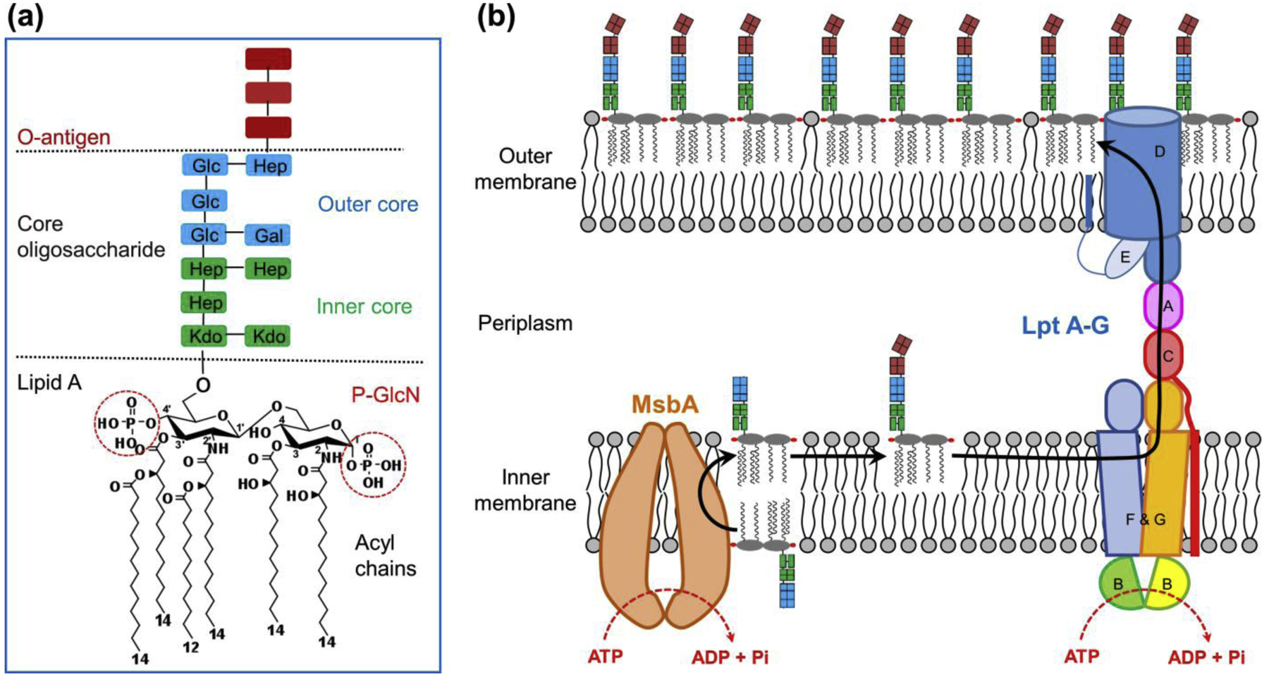 Figure 1 |