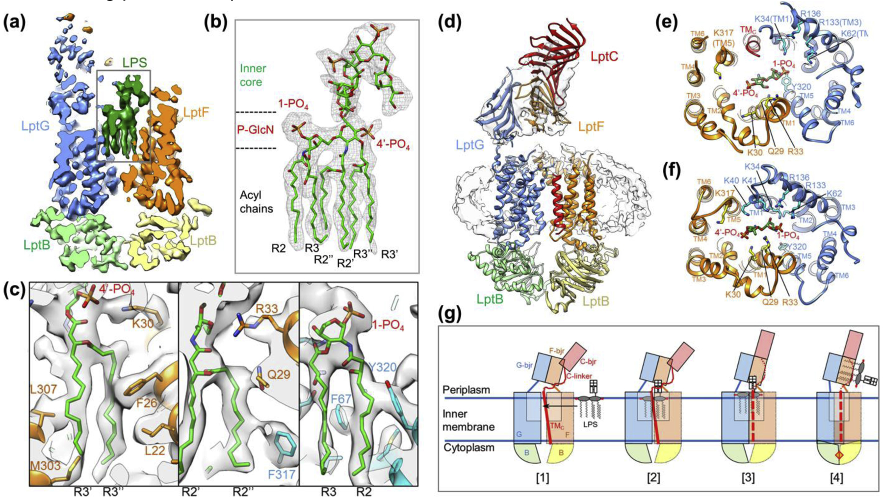 Figure 3 |