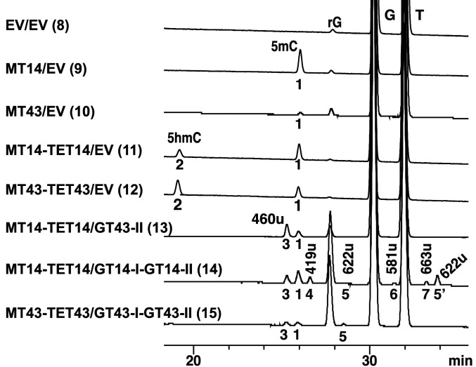 Fig. 8.