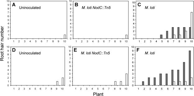 Figure 10.