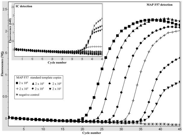 FIG. 1.