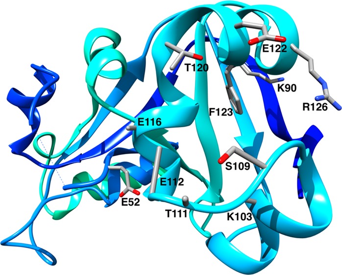 graphic file with name ao-2019-00418m_0001.jpg