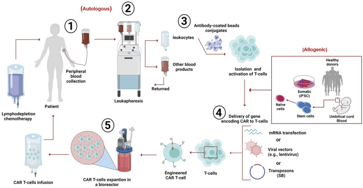 FIGURE 2