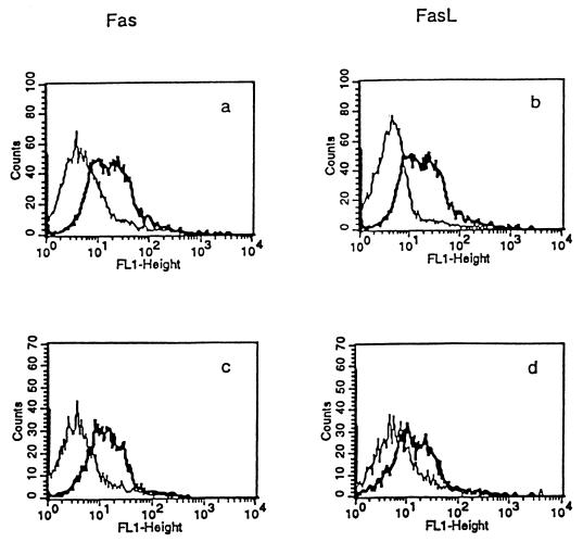 FIG. 5