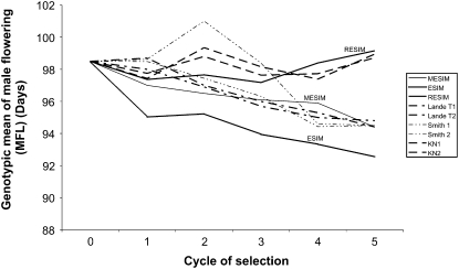 Figure 3.—