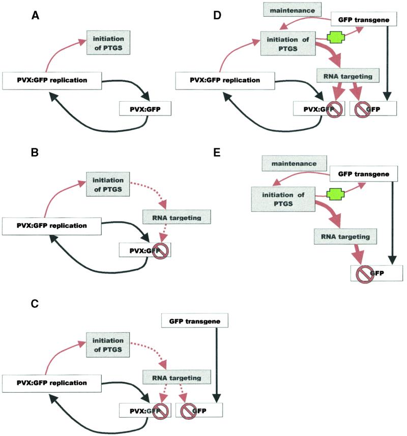 Figure 9.