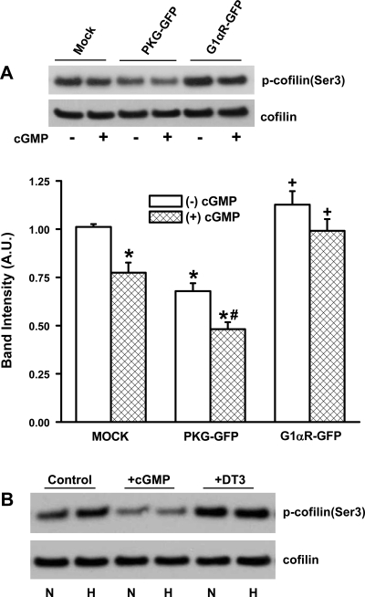 Fig. 6.