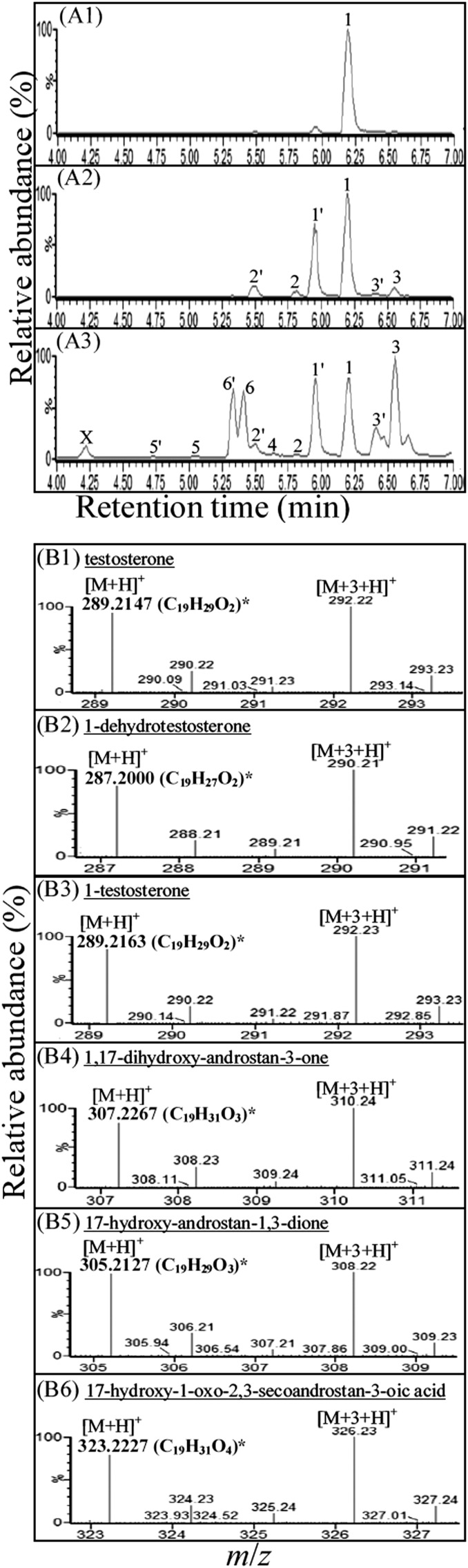 Fig. 3.