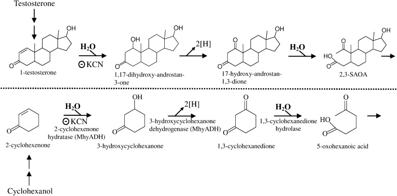 Fig. 9.